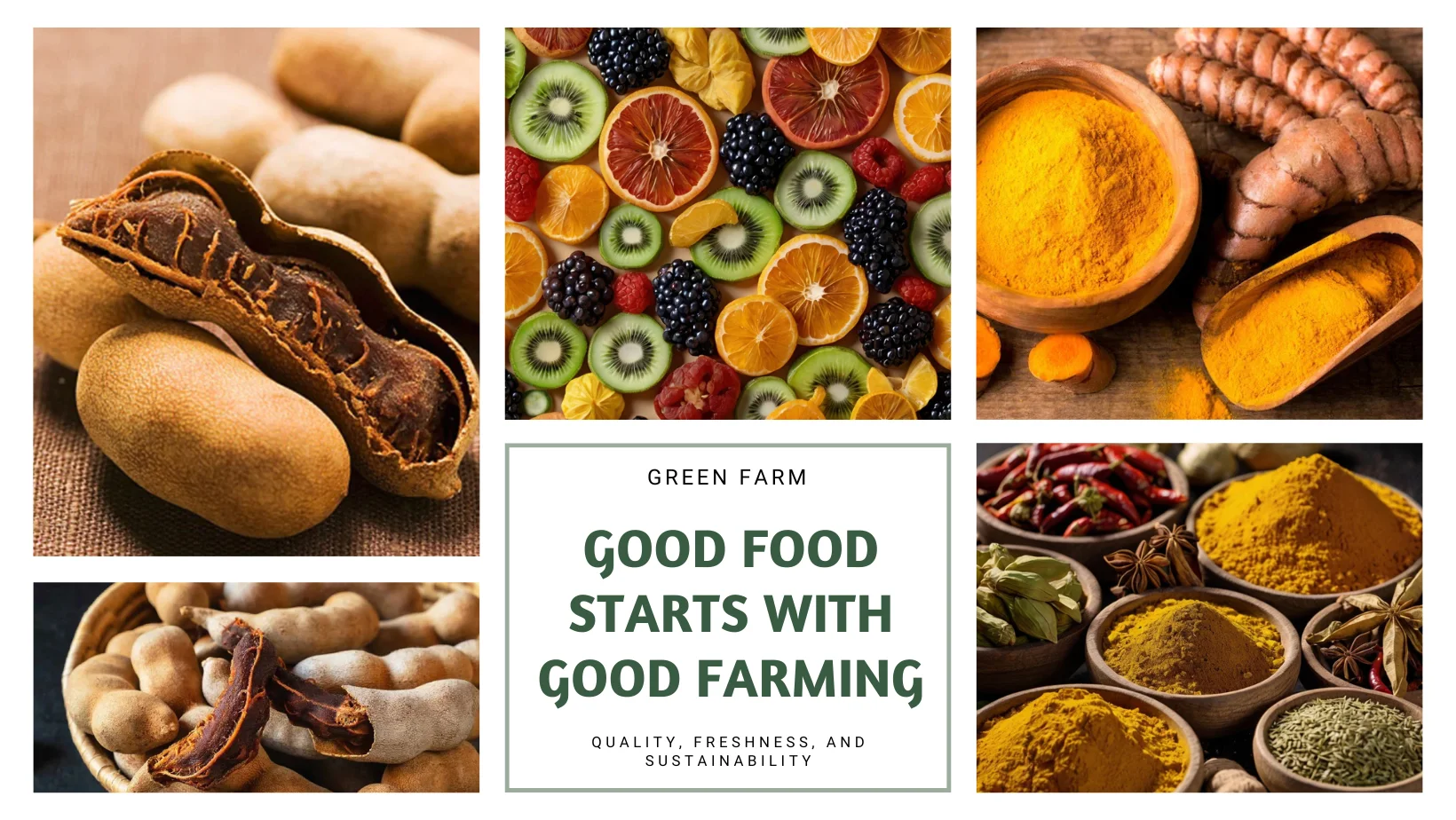 Premium quality products ready for export – Green Farm Exports